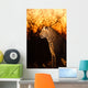 Leopard Sabi Sands Wall Decal