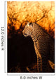 Leopard Sabi Sands Wall Decal