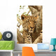 Leopard in a Tree Wall Mural