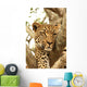 Leopard in a Tree Wall Mural