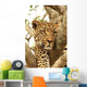 Leopard in a Tree Wall Mural