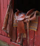Saddle and Chaps Barn Wall Decal