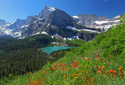 Glacier National Park Montana Wall Decal