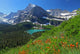 Glacier National Park Montana Wall Decal