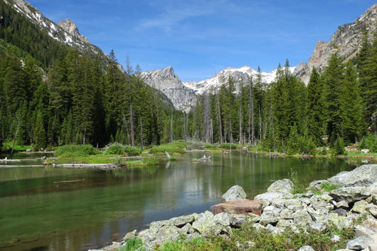 Grand Teton National Park in Wyoming Wall Mural
