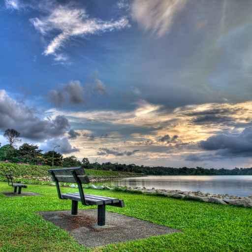 Bench Reservoir Park Wall Decal
