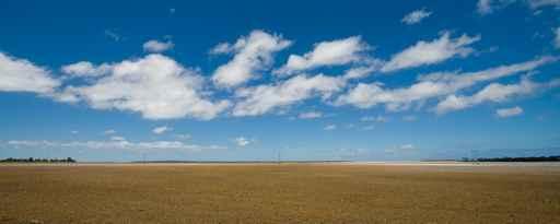 Open Field with Cloudy Wall Decal