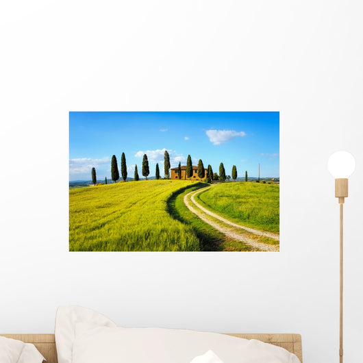 Tuscany, farmland, cypress trees and white road on sunset. Siena Wall Mural