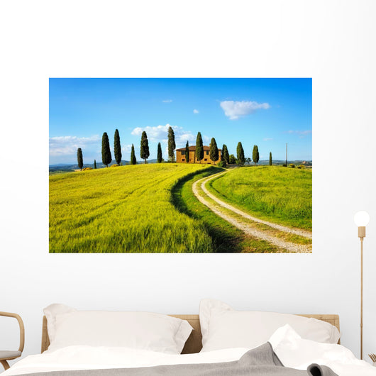 Tuscany, farmland, cypress trees and white road on sunset. Siena Wall Mural
