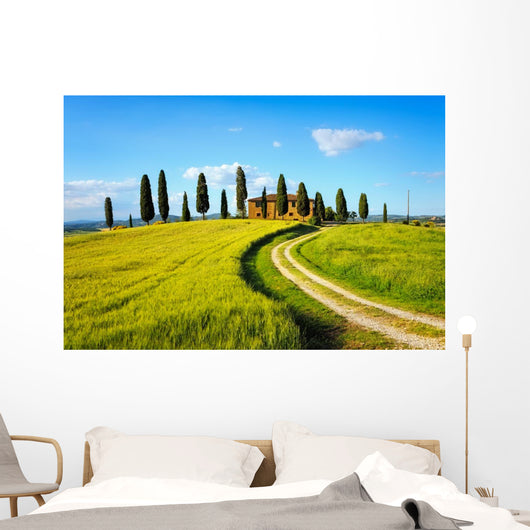 Tuscany, farmland, cypress trees and white road on sunset. Siena Wall Mural