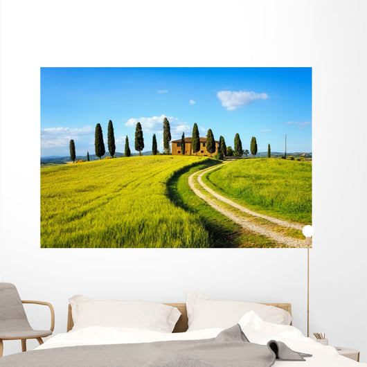 Tuscany, farmland, cypress trees and white road on sunset. Siena Wall Mural