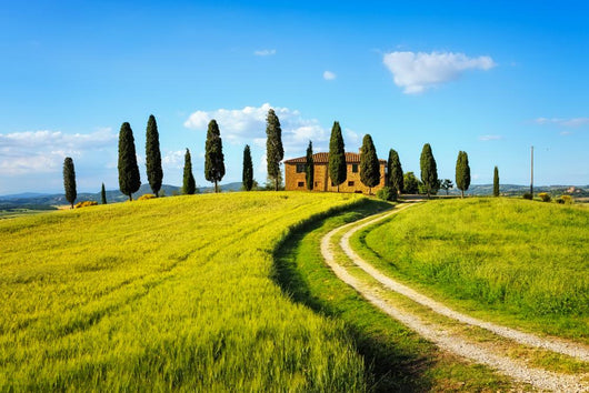 Tuscany, farmland, cypress trees and white road on sunset. Siena Wall Mural