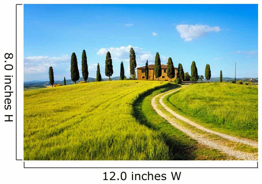 Tuscany, farmland, cypress trees and white road on sunset. Siena Wall Mural