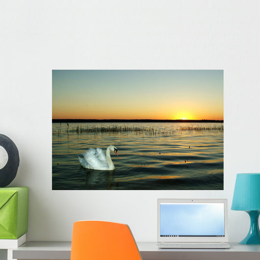 Der Schwan Am Abend Wall Decal