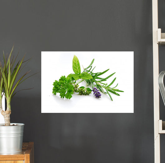 Herbal Blend Wall Decal