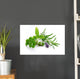 Herbal Blend Wall Decal