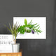 Herbal Blend Wall Decal