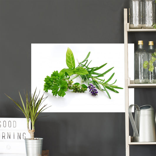 Herbal Blend Wall Decal