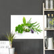 Herbal Blend Wall Decal