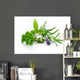 Herbal Blend Wall Decal