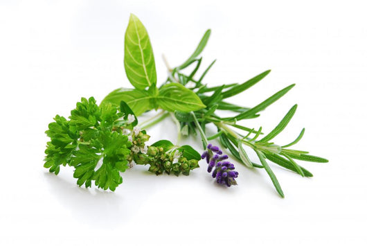 Herbal Blend Wall Decal