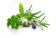 Herbal Blend Wall Decal