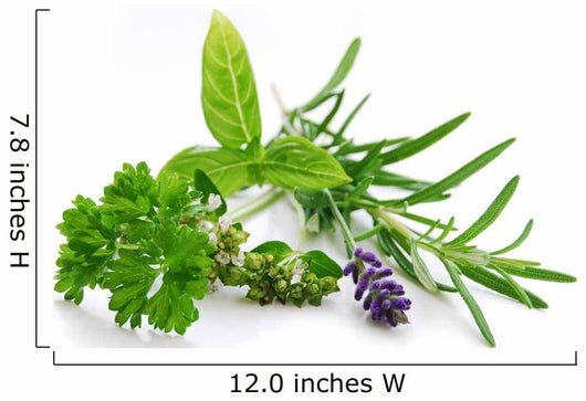 Herbal Blend Wall Decal