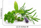 Herbal Blend Wall Decal