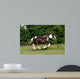 Racing Horse Wall Decal