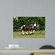 Racing Horse Wall Decal