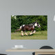 Racing Horse Wall Decal
