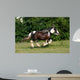 Racing Horse Wall Decal