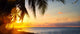 Art Beautiful sunrise over the tropical beach Wall Mural