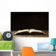 Image of an old Holy Bible on wooden background in a dark space Wall Mural