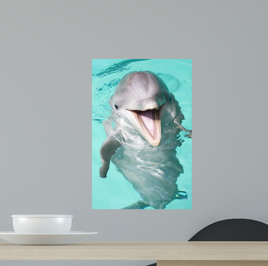 Bottlenose Dolphin Wall Decal