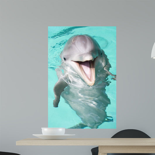 Bottlenose Dolphin Wall Decal