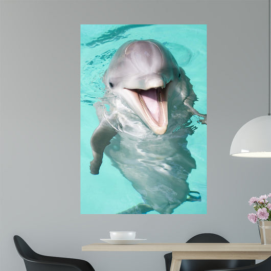 Bottlenose Dolphin Wall Decal