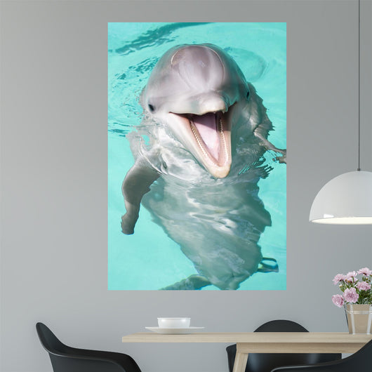 Bottlenose Dolphin Wall Decal