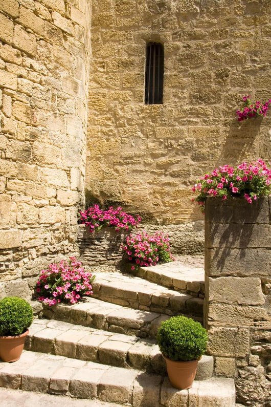 Stone Steps Wall Decal