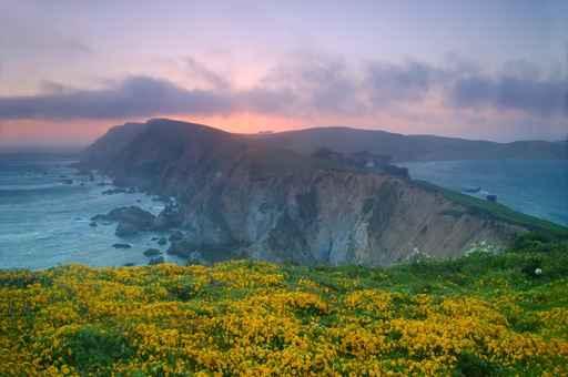 Point Reyes Sunset Wall Decal