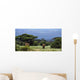 Elephant Wall Decal