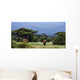 Elephant Wall Decal