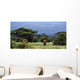 Elephant Wall Decal