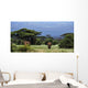 Elephant Wall Decal