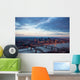 St Louis Missouri Aerial Wall Decal