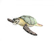 Great Turtle Wall Decal