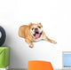 Tired Old Bulldog Wall Decal