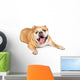 Tired Old Bulldog Wall Decal