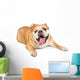 Tired Old Bulldog Wall Decal