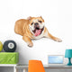 Tired Old Bulldog Wall Decal